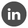 Linked In Icon